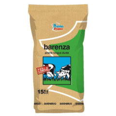 BARENZA TERRAIN SEC 15KG