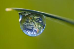 La Gestion de l'Eau en Espaces Verts