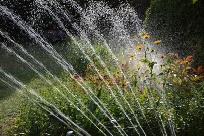 Les Techniques Pour Diminuer l'Arrosage